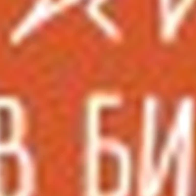 Лиса В Бигудях