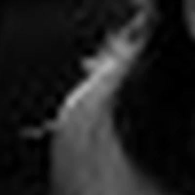 Атмосфера Красоты