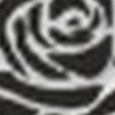 Салон красоты ХАЛФЕТИ