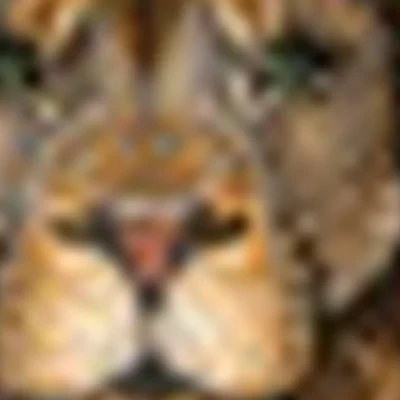 ТРЕНД - ПРАЙД