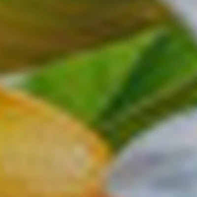 Женский массажный кабинет "Нероли"