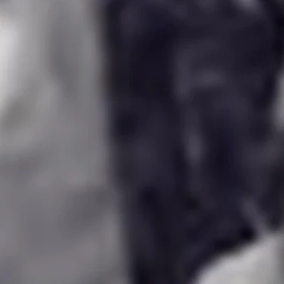 Стиль Европы