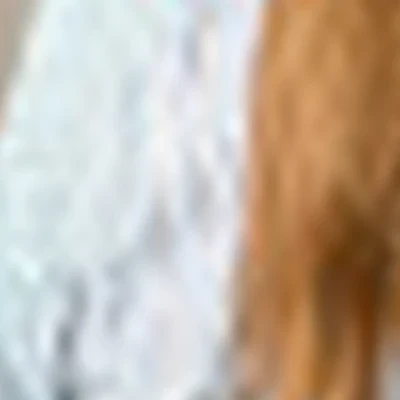 МАСТЕРСКАЯ МАНИКЮРА