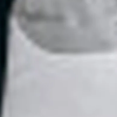 Елена Балашова (LOFTSTUDIO)