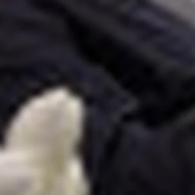 Панкова Светлана