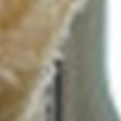 «CHERRY LASH» studio Vladlena Kolesnik