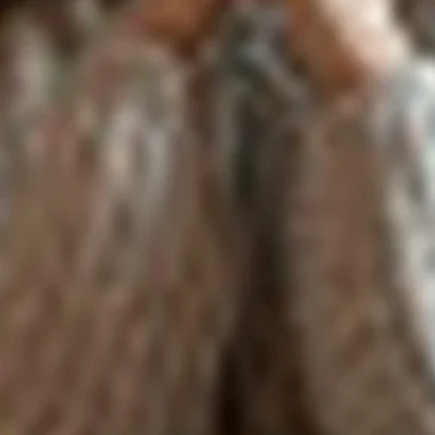 Студия «PRO взгляд»