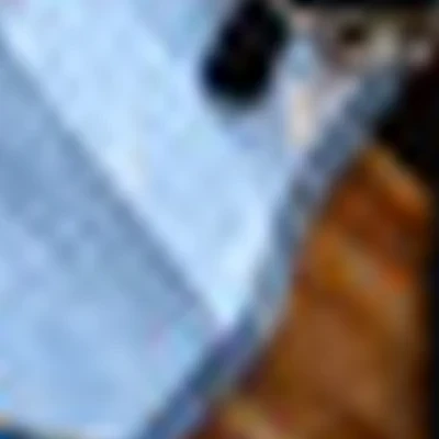 АРИНА ЕСЮТИНА