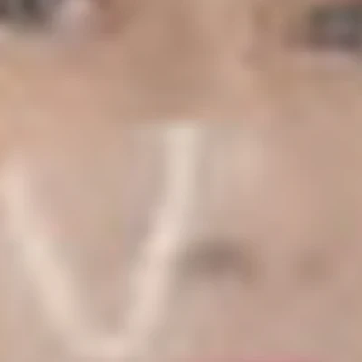 Екатерина Голобокова