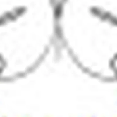 Точка Красоты