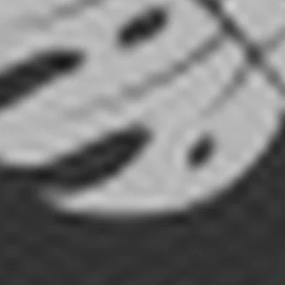 Студия ногтевого-сервиса «Монстера»