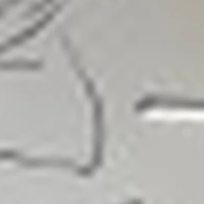 "Полюби свое тело"