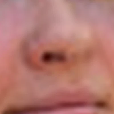 Елена Колесникова