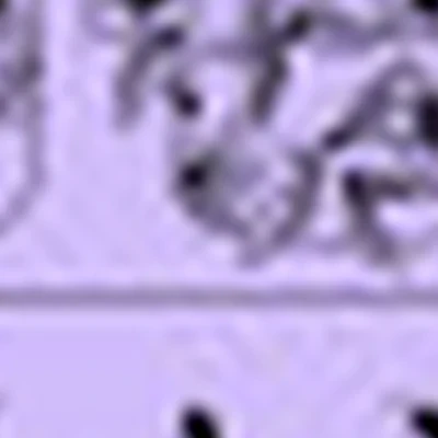 LAVANDA