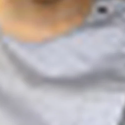 Студия ресниц и бровей LE