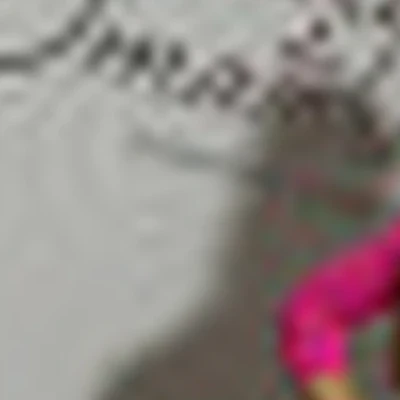 Студия Екатерины Сматченко