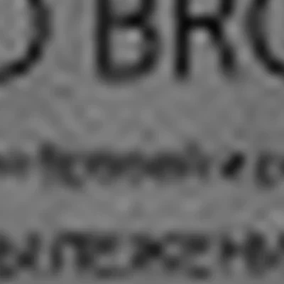 PRO BROVI | Студия бровей и ресниц Анны Лежениной