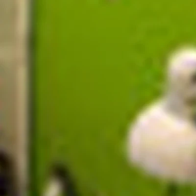 Мир красоты