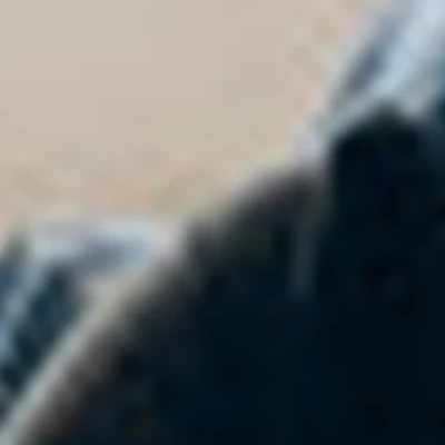 Юлия Сторожева