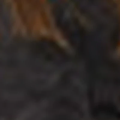 Мастерская ресниц