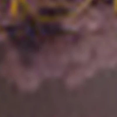 BEAUTY_STUDIO_ALEKSEENKO