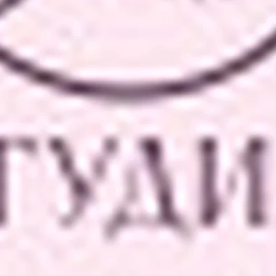 Студия Дианы Лятиф (Беляева)