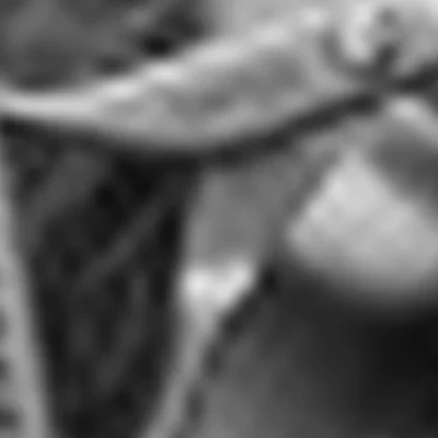 Anastasiya Alexeevna