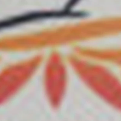 Наталия Лебедева