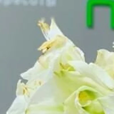 &
