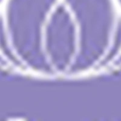 Белый Лотос