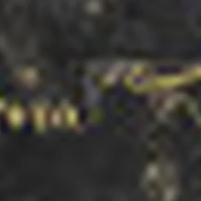 Маникюр. Педикюр. Перманентный макияж.