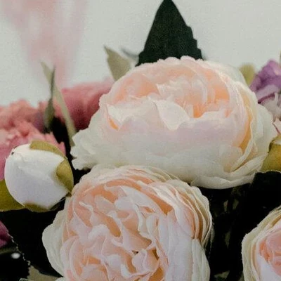 LikeMe в Обнинске Калужская область, Обнинск, проспект Маркса, 30Б, 3 этаж