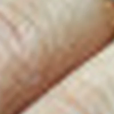 PtichkaBEAUTY