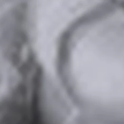 Анастасия Морозова