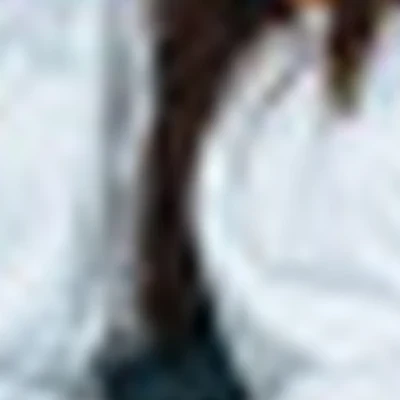 Нана Студио