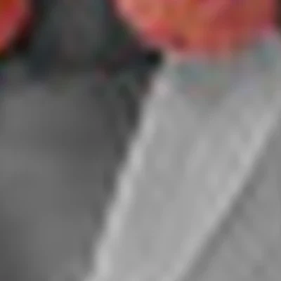 Юлия Павлюкова