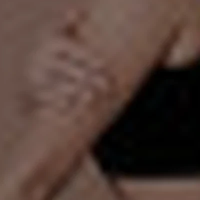 Кристина Евдокимова