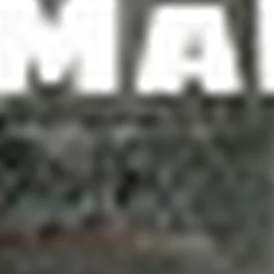 Kamilla.manik.vidnoe