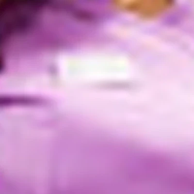 Лейсан Шлыкова