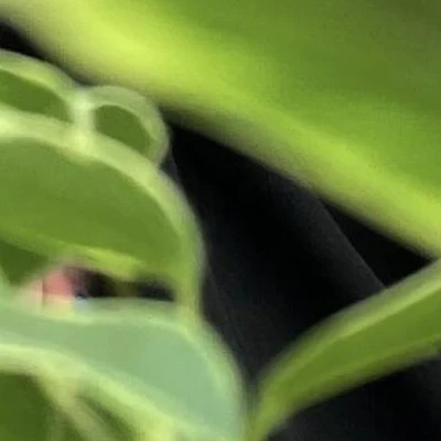 Студия красоты Селфи