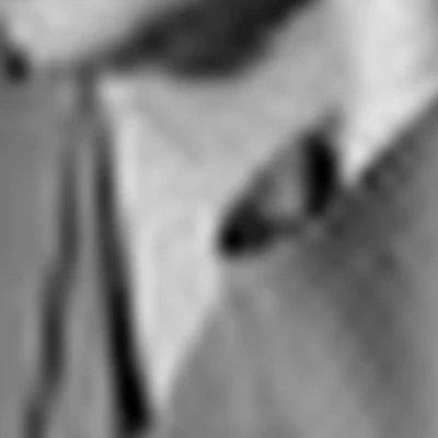 Диана Санина