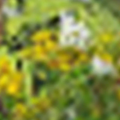 Массаж Митрофанова Валентина