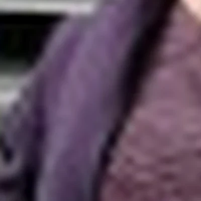 Полетаев Иван