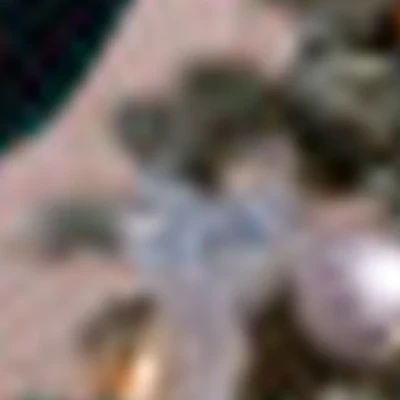 Яна Кербель