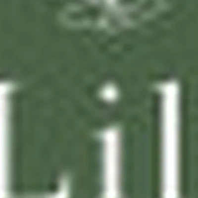 LiLi_Studio