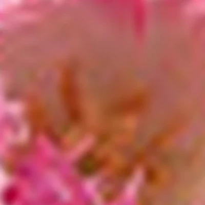 ИП Ибрагимов Альфред Фаритович