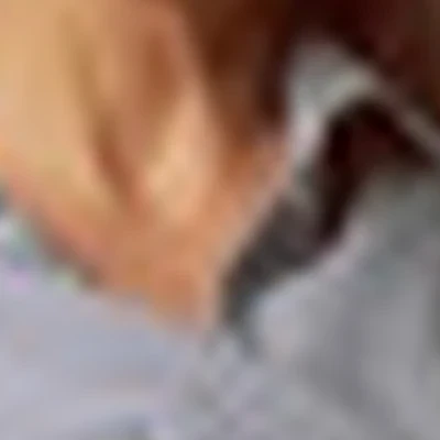 Студия @ekaterina_art_brow