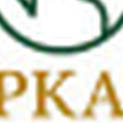 ЗЕРКАЛО