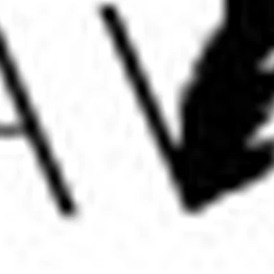 PAVO