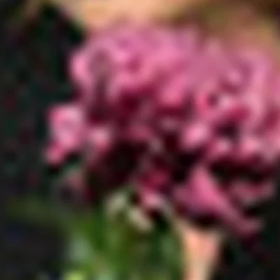 Анна Риттер